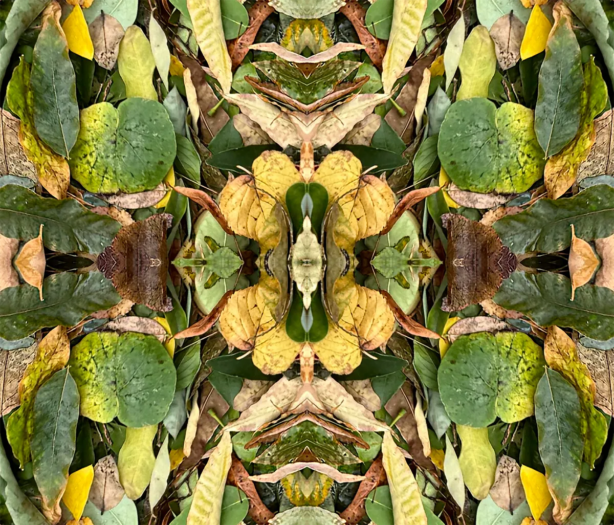 Parisian Leaves 1